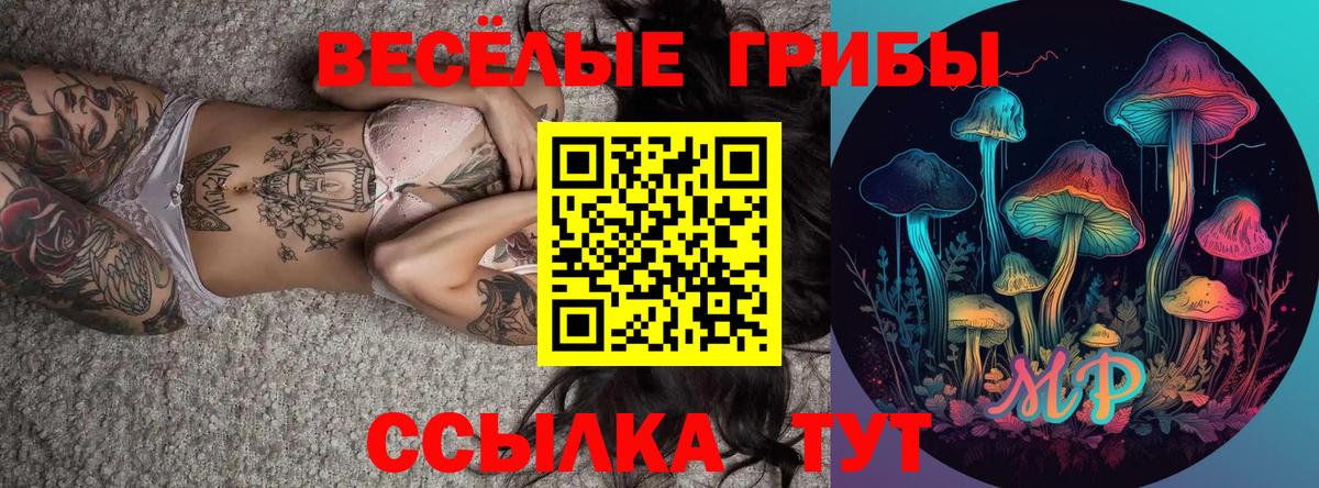 Галлюциногенные грибы Cubensis  Вход с VPN  Пермь  Псилоцибиновые грибы мицелий 